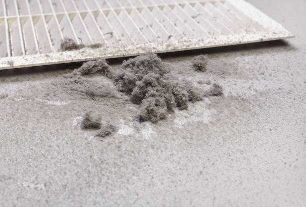 Best HVAC Maintenance and Cleaning  in Peebles, OH
