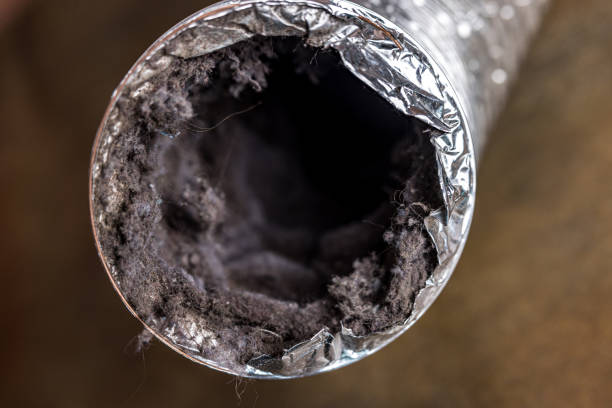 Best HVAC System Cleaning  in Peebles, OH