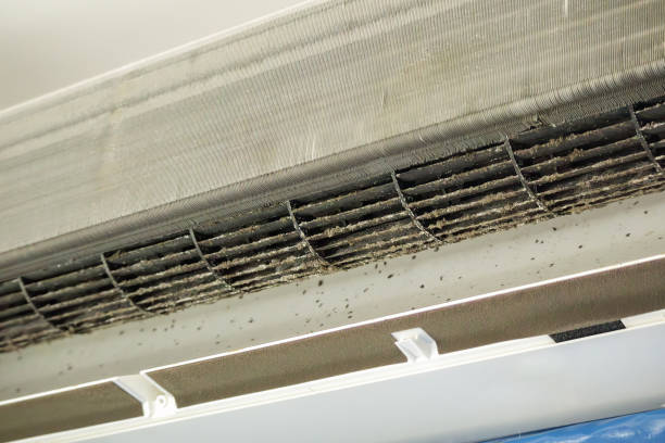 Best Duct Cleaning for Offices  in Peebles, OH